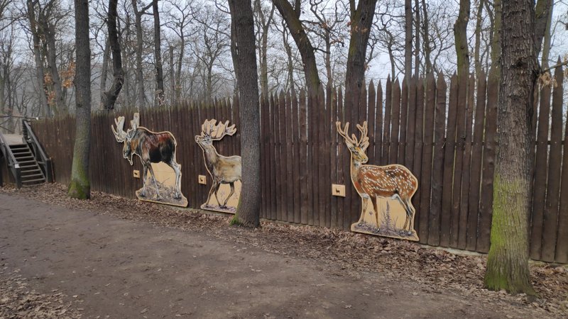 mini Zoo